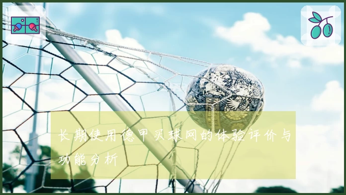 长期使用德甲买球网的体验评价与功能分析