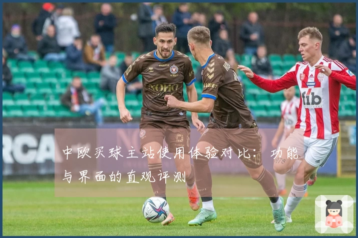 中欧买球主站使用体验对比：功能与界面的直观评测