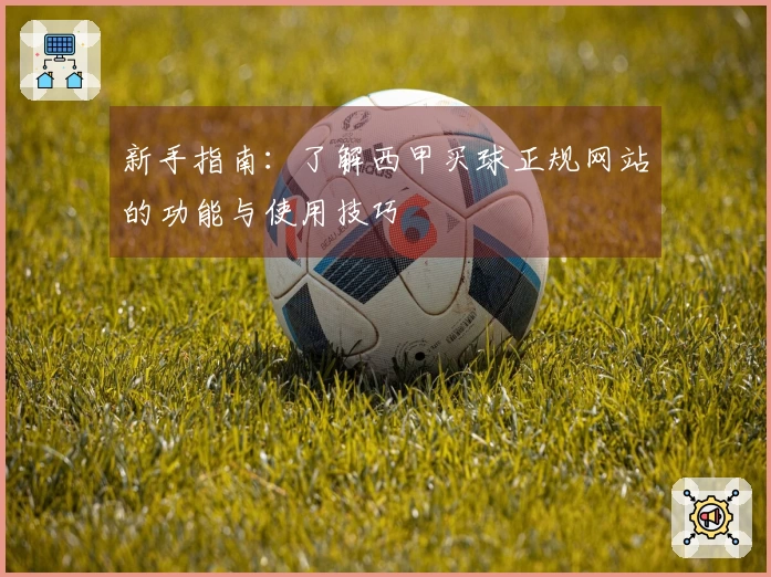 新手指南：了解西甲买球正规网站的功能与使用技巧