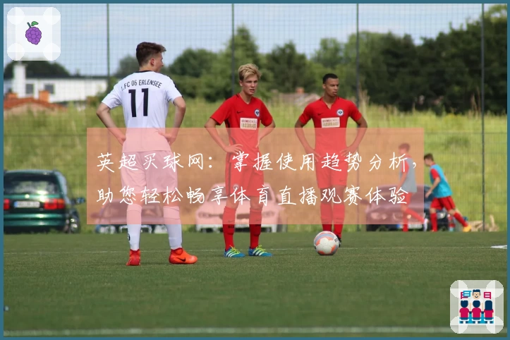 英超买球网：掌握使用趋势分析，助您轻松畅享体育直播观赛体验